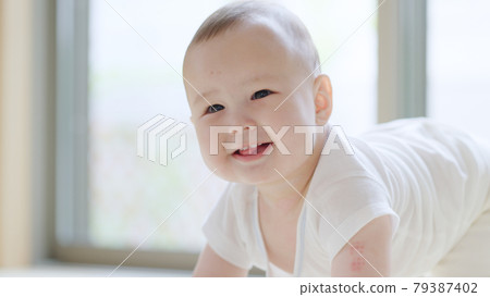 嬰兒 / 嬰兒 / 育兒 / 育兒 79387402