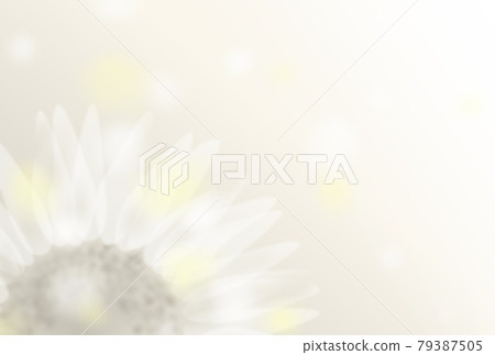【夏日素材】向日葵背景棕褐色 【夏日素材】向日葵背景棕褐色 79387505