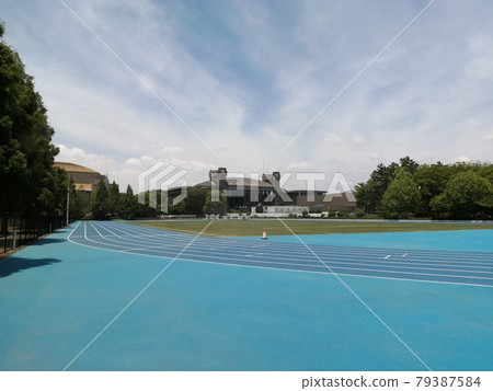 公園內的藍色格子呢 Todoroki 體育場 79387584