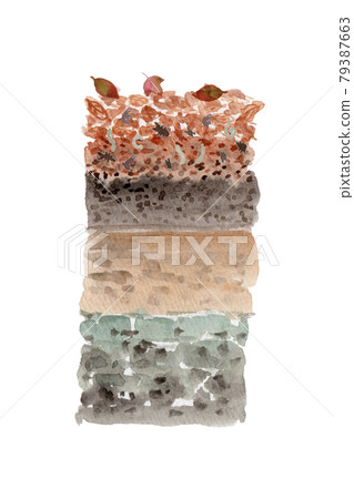 Watercolor illustration of the image of the organisms living in the soil decomposing the fallen leaves 79387663
