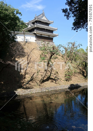 Nishio Castle Honmaru Tora Tower 79387891