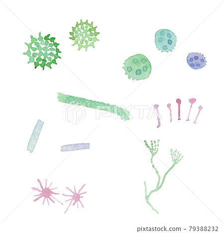 Watercolor image illustration of microorganisms, bacteria, fungi Watercolor image illustration of microorganisms, bacteria, fungi 79388232