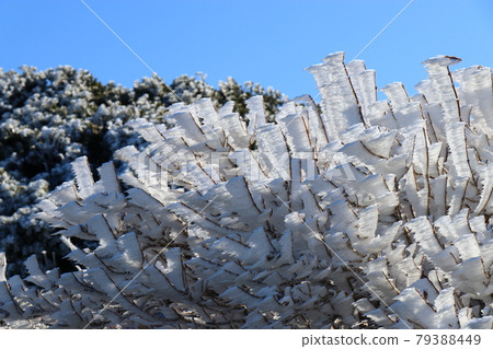 Rime and Hakuo Daisen, Tottori Prefecture, Okayama Prefecture, Natsuyama Trail 79388449