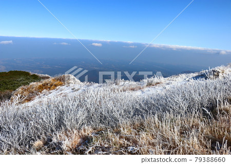 Rime and Hakuo Daisen, Tottori Prefecture, Okayama Prefecture, Natsuyama Trail Rime and Hakuo Daisen, Tottori Prefecture, Okayama Prefecture, Natsuyama Trail 79388660