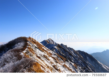 岡山縣鳥取縣Rime and Hakuo Daisen夏山步道 79388687