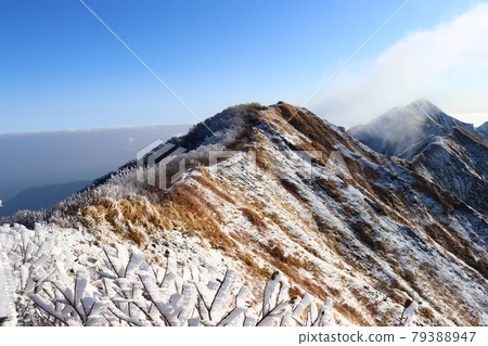 岡山縣鳥取縣Rime and Hakuo Daisen夏山步道 岡山縣鳥取縣Rime and Hakuo Daisen夏山步道 79388947