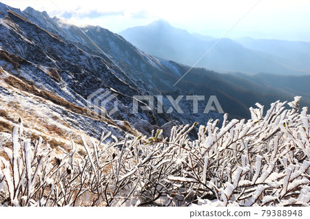 岡山縣鳥取縣Rime and Hakuo Daisen夏山步道 岡山縣鳥取縣Rime and Hakuo Daisen夏山步道 79388948
