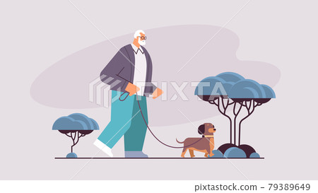 active senior man walking in park with his little dog grandfather relaxing with pet horizontal 79389649