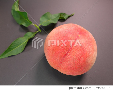 桃桃桃 桃桃桃 79390098