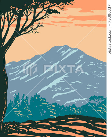 The Peak of Mount Tamalpais or Mount Tam Located Within Mt. Tamalpais State Park in Marin County California United States of America WPA Poster Art The Peak of Mount Tamalpais or Mount Tam Located Within Mt. Tamalpais State Park in Marin County California United States of America WPA Poster Art 79390337