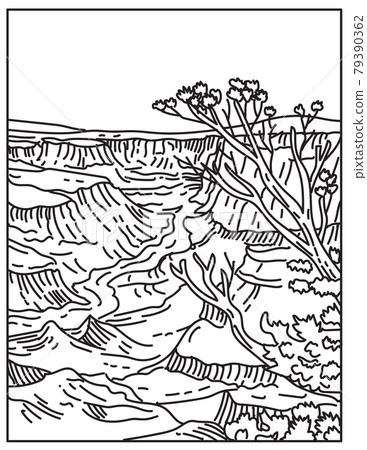 Grand Canyon National Park with Layered Bands of Red Rock Revealing Millions of Years of Geological History in Arizona United States Mono Line or Monoline Black and White Line Art 79390362