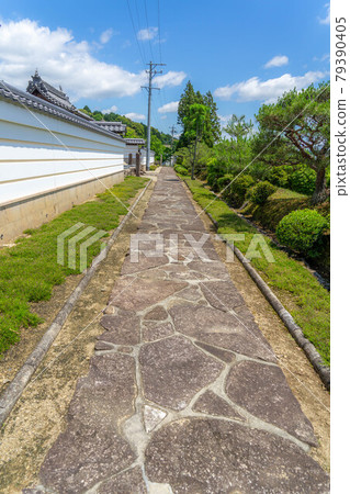 Foolish Zen Temple 79390405