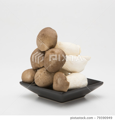 King Oyster mushrooms isolated on white background 79390949