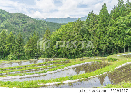 貝原梯田 79391317