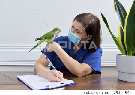 Doctor woman veterinarian examining a green Quaker parrot Doctor woman veterinarian examining a green Quaker parrot 79391943