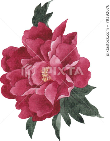 Bird and flowers of Chinese concept watercolor Bird and flowers of Chinese concept watercolor 79392076