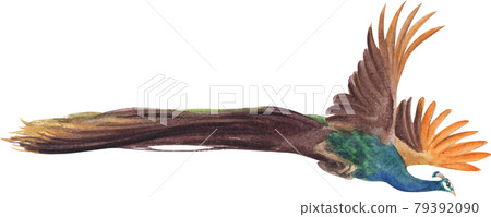 Bird and flowers of Chinese concept watercolor Bird and flowers of Chinese concept watercolor 79392090