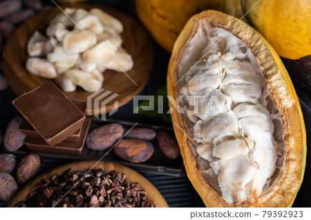 cocoa pods, beans and powder on wooden table, top view cocoa pods, beans and powder on wooden table, top view 79392923