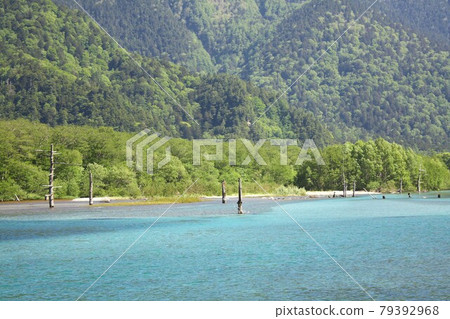 Taisho Pond in Kamikochi, Shinshu, surrounded by fresh spring greenery and praising pure water 79392968
