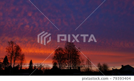 Sunrise at ultraviolet sky in the North 79393404