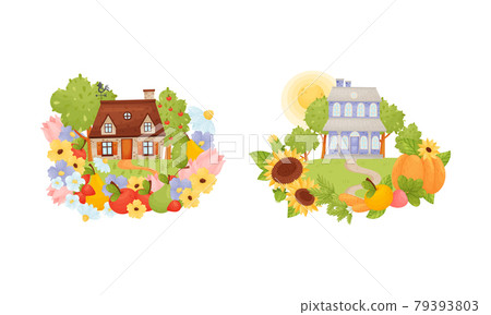 Village Houses Standing on Meadow with Winding Path Surrounded by Circular Crop and Flower Arrangement Vector Set Village Houses Standing on Meadow with Winding Path Surrounded by Circular Crop and Flower Arrangement Vector Set 79393803