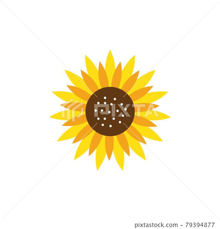 Sunflower logo icon vector Sunflower logo icon vector 79394877