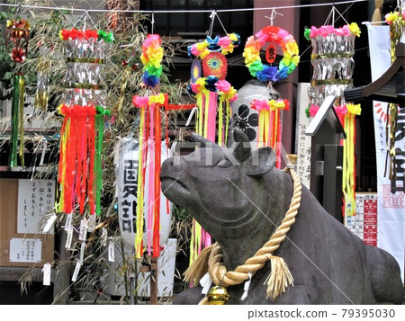 Hirakawa Tenmangu Shrine Summer Visit Hirakawa Tenmangu Shrine Summer Visit 79395030