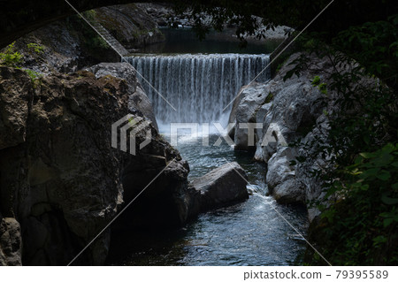 Sarutobi Chitenkyo Sarutobi Chitenkyo 79395589