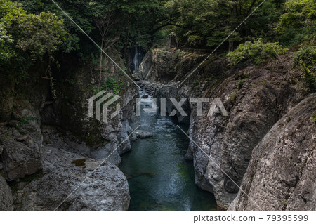 Sarutobi Chitenkyo Sarutobi Chitenkyo 79395599