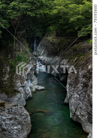 Sarutobi Chitenkyo 79395600