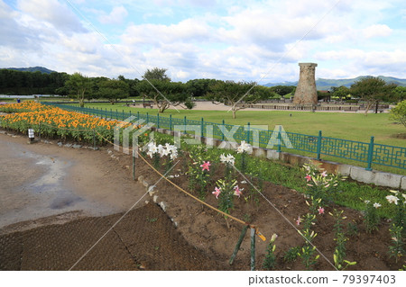 國立公園、慶州市、瞻星台、王陵 國立公園、慶州市、瞻星台、王陵 79397403