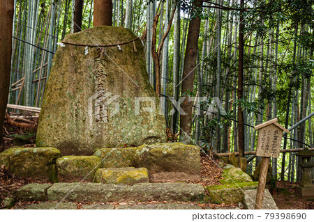 Prince Tatomi in Daimonzaka, Kumano Kodo, Wakayama Prince Tatomi in Daimonzaka, Kumano Kodo, Wakayama 79398690