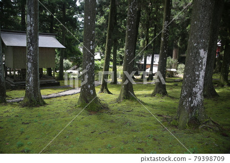 淺草山金剛寺 淺草山金剛寺 79398709