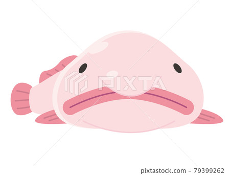 Blobfish New Doukajika / Deep Sea Blobfish New Doukajika / Deep Sea 79399262