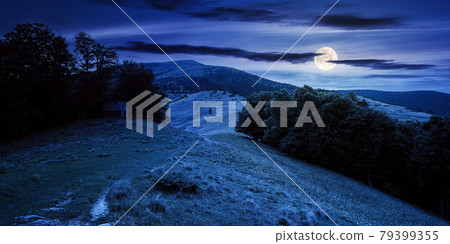 beautiful ukrainian countryside at night. grassy meadows and hills under dark sky. trees on the hill in full moon light beautiful ukrainian countryside at night. grassy meadows and hills under dark sky. trees on the hill in full moon light 79399355