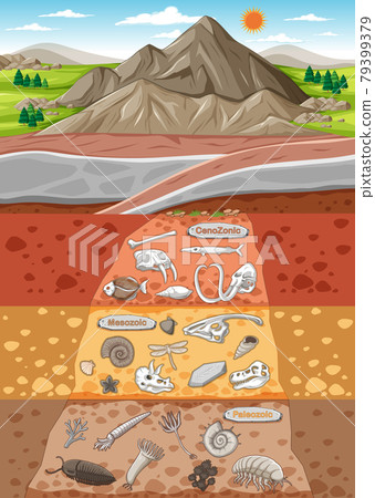 Scene with various animals bones and dinosaurs fossils in soil layers Scene with various animals bones and dinosaurs fossils in soil layers 79399379