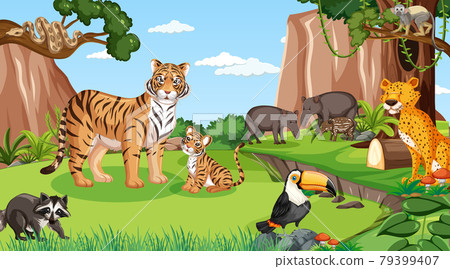 Wild animals in forest scene with many trees Wild animals in forest scene with many trees 79399407
