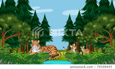 Tiger family in forest or rainforest scene with many trees Tiger family in forest or rainforest scene with many trees 79399445