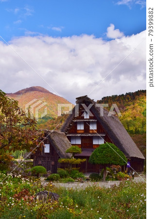 World heritage Shirakawa-go Gassho-zukuri village autumn view World heritage Shirakawa-go Gassho-zukuri village autumn view 79399882