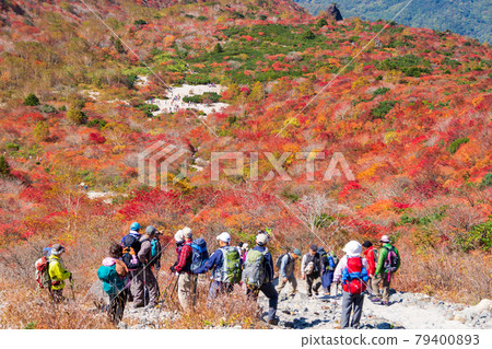 登山者可以俯瞰那須山和富士山的秋色。 登山者可以俯瞰那須山和富士山的秋色。 79400893