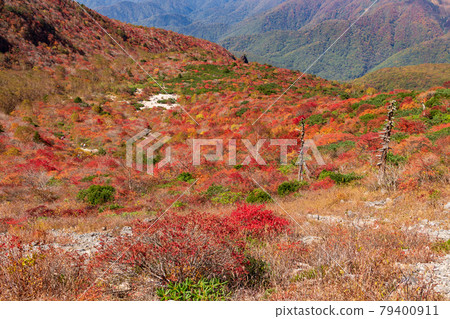 Autumn leaves of Mt. Nasu and Mt. Autumn leaves of Mt. Nasu and Mt. 79400911