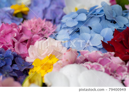 Spreaded flowers Spreaded flowers 79400949