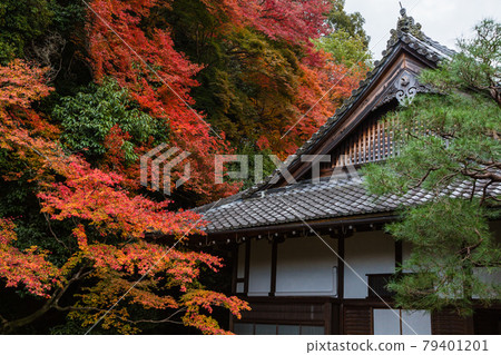 京都南禪寺回園秋葉 79401201
