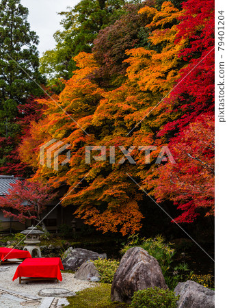 京都南禪寺龍吟庭園的秋葉 79401204