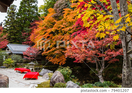 京都南禪寺龍吟庭園的秋葉 79401207