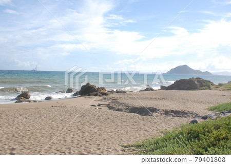 Koijigahama (west side) (Tahara City, Aichi Prefecture) 79401808