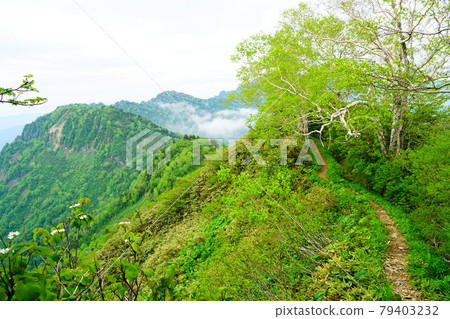 高津山不動道路線 普賢周圍的山路 高津山不動道路線 普賢周圍的山路 79403232
