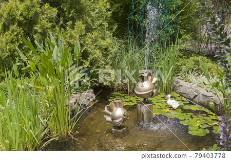 Goldfish in the landscape design of pension Green Guy 79403778