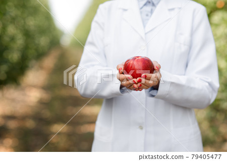 Business owner, agronomist shows organic fruits grown on eco farm 79405477