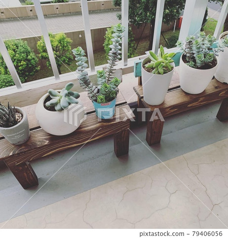 Veranda gardening 79406056